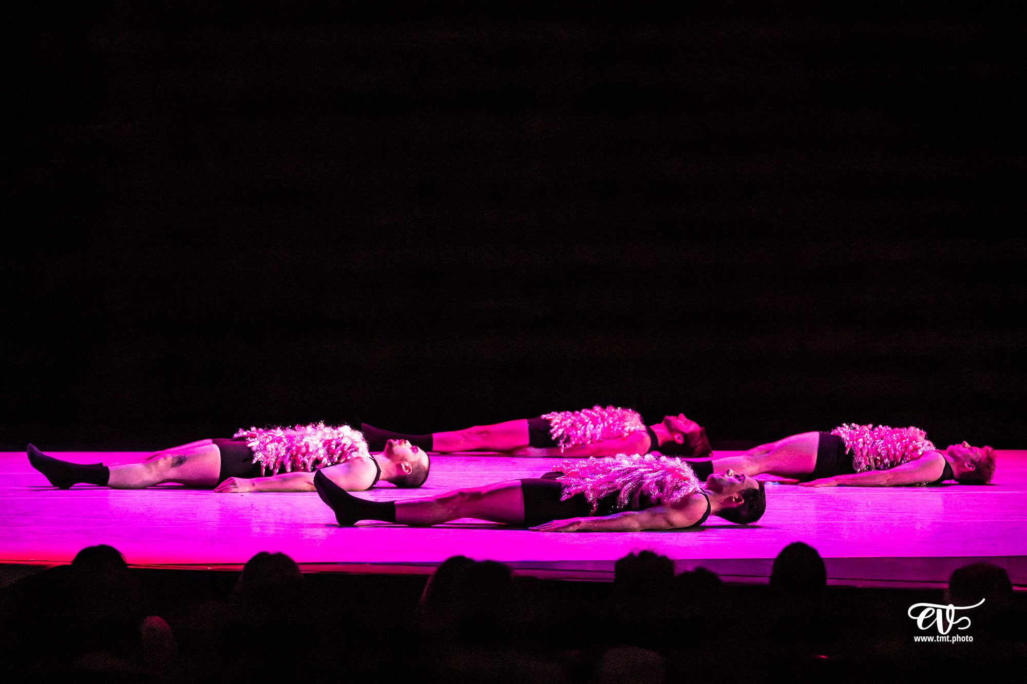 A4 (COMME LA FEUILLE) CIE CHICOS MAMBO